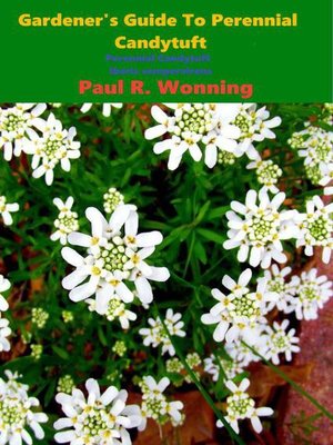 cover image of Gardener's Guide to Perennial Candytuft